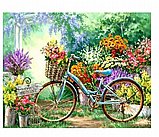 צביעה לפי מספרים -אופניים בגינה צביעה לפי מספרים -אופניים בגינה