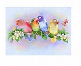 צביעה לפי מספרים -אופניים בגינה צביעה לפי מספרים -אופניים בגינה