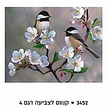 צביעה לפי מספרים - זוג ציפורים על פריחה לבנה צביעה לפי מספרים - זוג ציפורים על פריחה לבנה