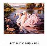 צביעה לפי מספרים - זוג ברבורים באגם צביעה לפי מספרים - זוג ברבורים באגם