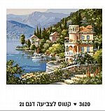 צביעה לפי מספרים -כפרים על קו המים ונוף הרים מושלגים צביעה לפי מספרים -כפרים על קו המים ונוף הרים מושלגים